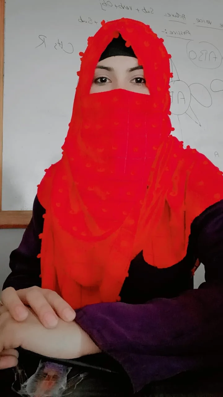Ms. Naila Shehzadi
